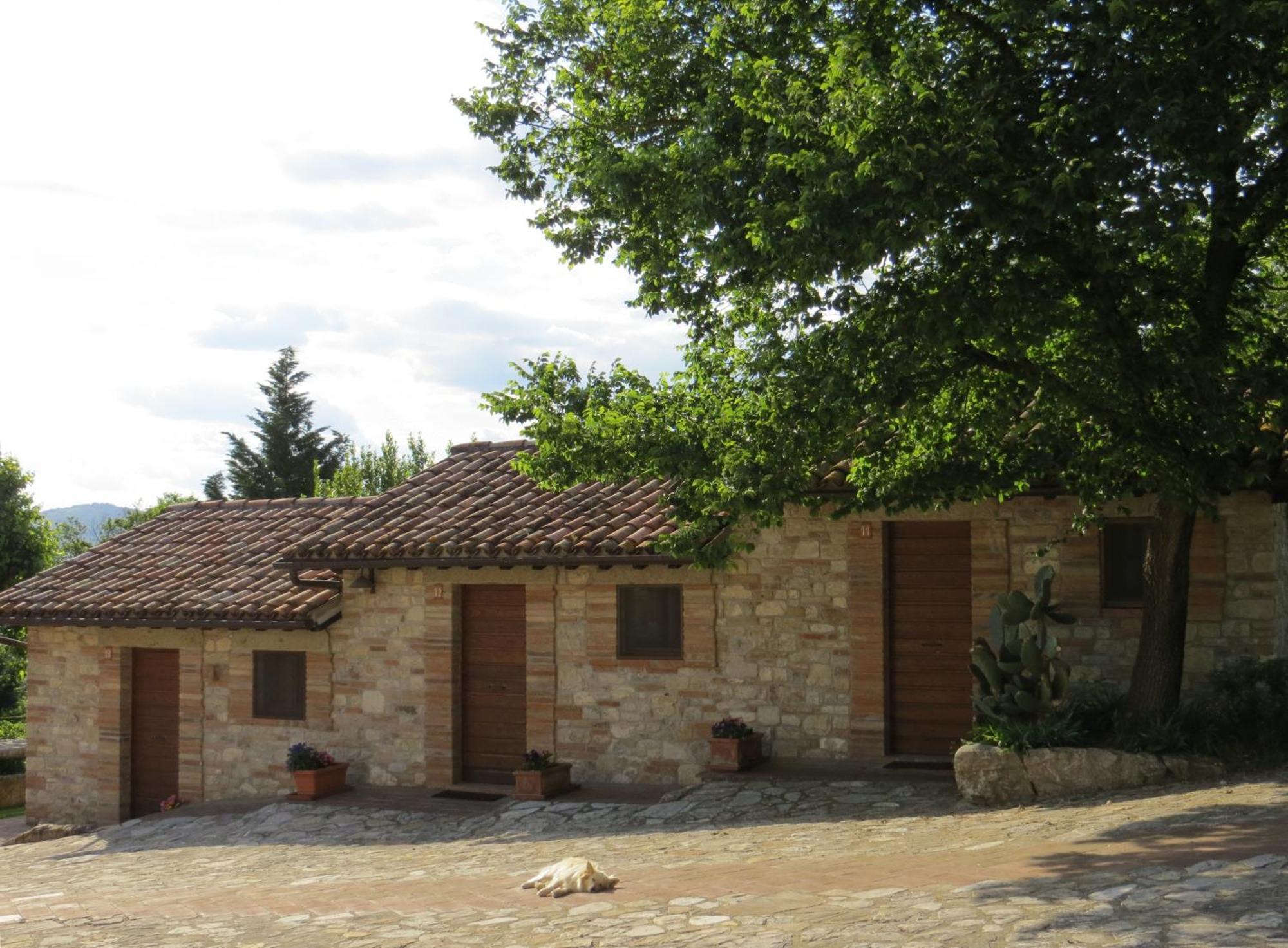 Agriturismo Casale Delle Lucrezie Todi Exteriör bild